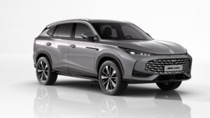 mg hs light gray colour.jpg