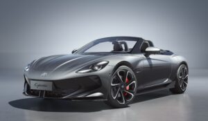 cybester gray colour