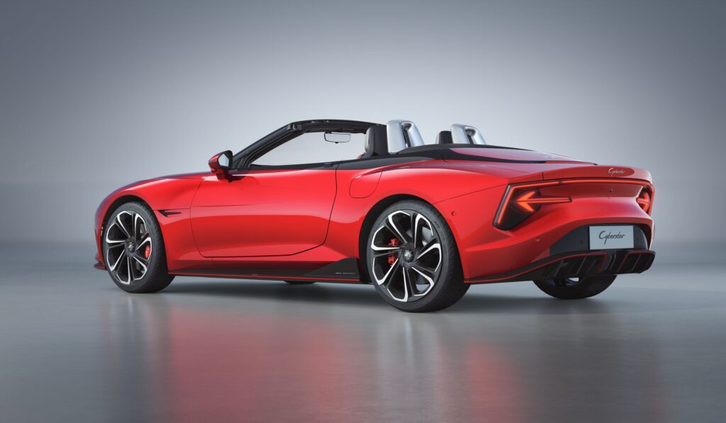 cybester left angled view