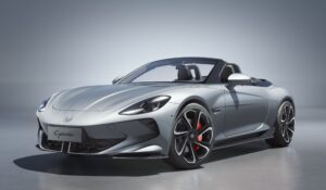 cybester silver colour