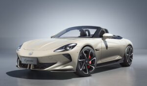 cybester white colour